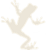 Screaming Frog